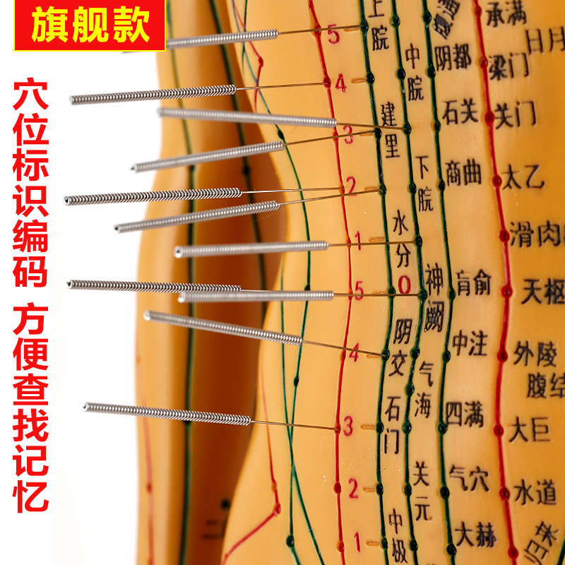 Traditional Chinese medicine meridian needle burning acupuncture point model Whole body villain can tie needle practice Skin teaching Human figure Copper people's number