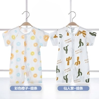 Разноцветный апельсин + кактус (бар + бар)