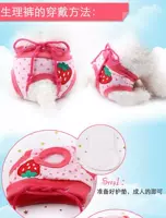 СущностьЖитель -в -пентские домашние животные