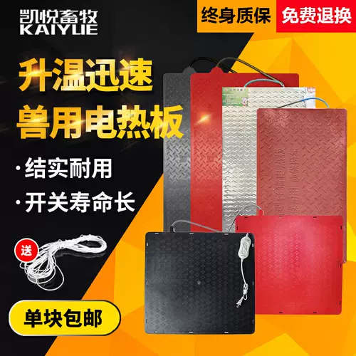 Свинья электрическая тепловая свинья размножение свиней Хенгдин