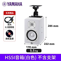 HS5IW висит 1 белый (исключая кронштейн) +6,5 Аудиокабель 1