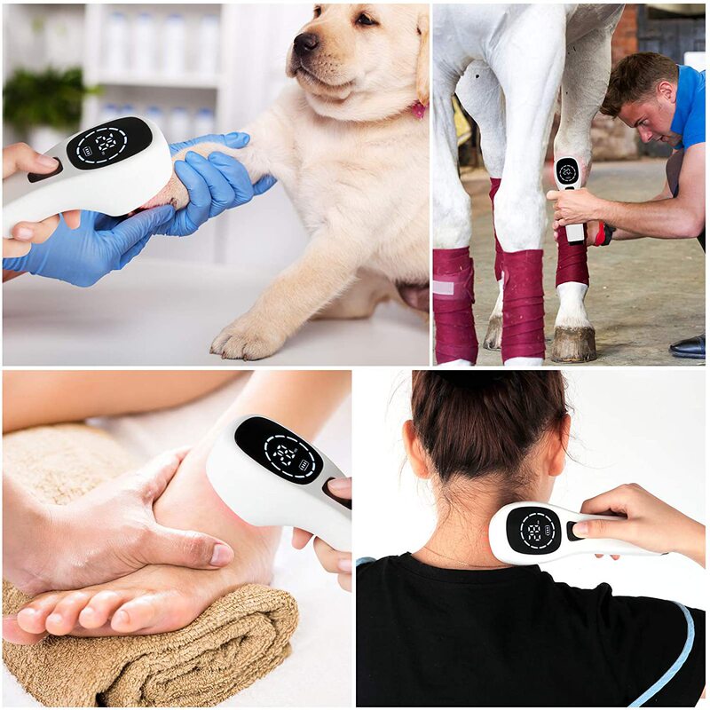 Amazon 808Nm Cold Laser Physical Therapy Device 650Nm Infrared Light Pet Cat and Dog Post-Surgery Rehabilitation Therapy Device