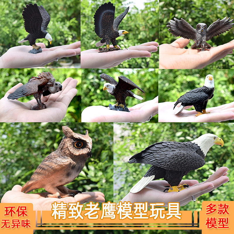 Simulation Eagle Toy Model Wildlife Flying Bird Owl White Owl Early Teach Toy Children Boy Presents