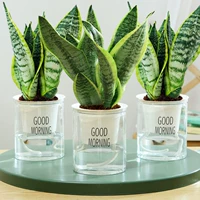 [Рекомендуется 2 бассейна] 30 см3 кожная локальная локальная сеть (бассейн с северной водой)