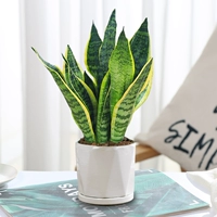 Tiger Pilan 30cm3 (керамический бассейн с алмазом)