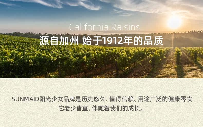 美国进口 阳光少女 加州无籽葡萄干 283.5g 图2