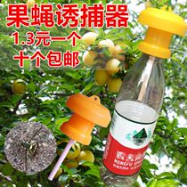 Fruit fly trap fruit fly catch container melon orchard insect-proof insect-attractant fruit fly attractant potion needle bee