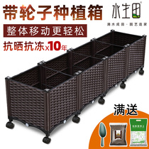 Vegetable planting box Rectangular balcony growing cauliflower basin vegetable garden King size plastic outdoor space-saving foam roof