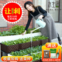 Vegetable artifact Family balcony planting box Roof flower pot rectangular flower box Plastic household vegetable tank small chives