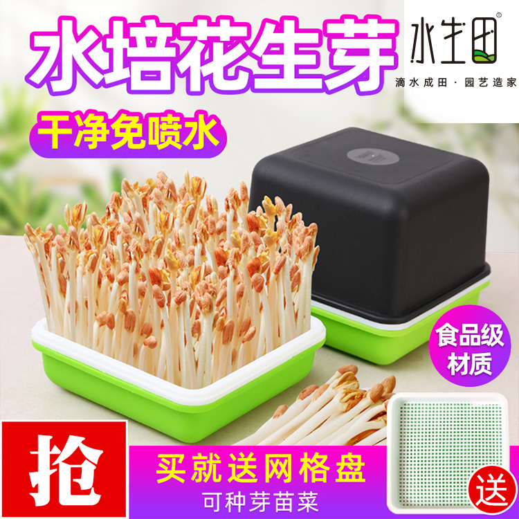 Planting Peanut Bud Germination Theorizer Water Bacon Box Planting Box Special Pan Bean Seedling Nursery Basin Seed Seed Machine Bean Sprout Vegetable Jar
