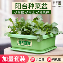 Family balcony vegetable planting basin Vegetable planting artifact Rectangular flower pot Plastic long slot indoor king-size leek