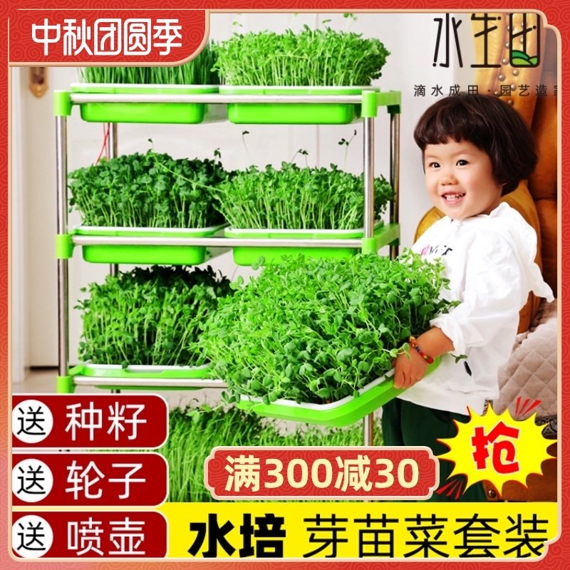 Bean sprouts sprouting basin sprouts vegetable nursery tray soilless cultivation hydroponic vegetable equipment pea planting sprouts bean seedlings