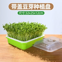 Изолированный лоток для ростков фасоли с крышкой