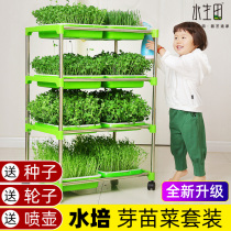 Home No Tuiless Vegetable Hydroponic Vegetable Equipment Cultivation Basin Balcony Decorated Ground Province Space Bud Fry Vegetable Nursery Tray