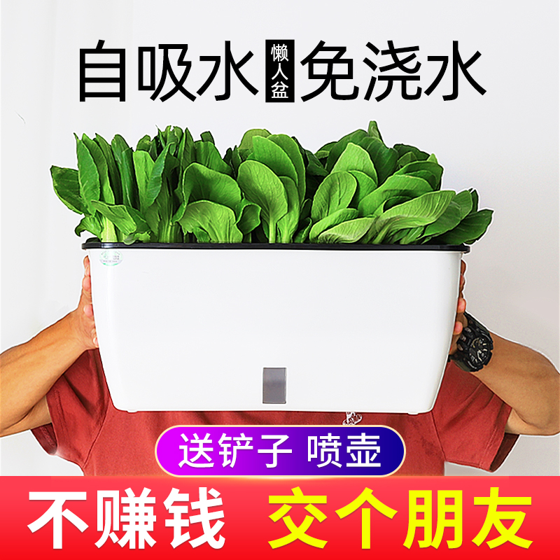Vegetable Divine Instrumental Flower Pot plant Vegetable Planting Box Family Balcony Plastic Self-Absorbent Sloth Rectangular 2021 new