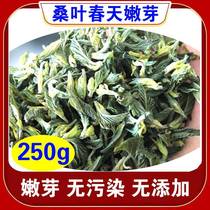 Mulberry bud tea dried mulberry bud wild mulberry leaf tea young mulberry bud mulberry leaf special mulberry leaf bud non-frost mulberry leaf tea