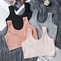 Pure Cotton Underwear Teenage Girl Hair Birth small vest Female Grand Scout 9-12 Girls Primary School Primary 16 Girls bra