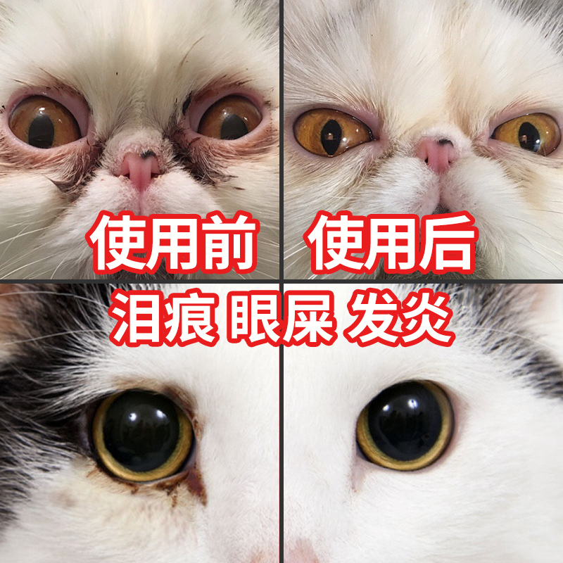 Cat eye drops to tear stains dog pet eye drops eye poop cleaning Teddy Garfield method eye cleaning