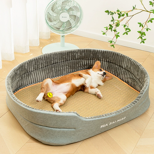 Gouqun Four Seasons Common Summer Pet Gnes