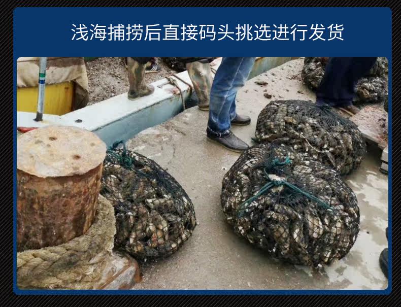 Детали легких овощей_09.jpg