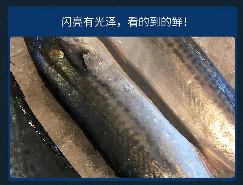 Человек скумбрии детали_09.jpg