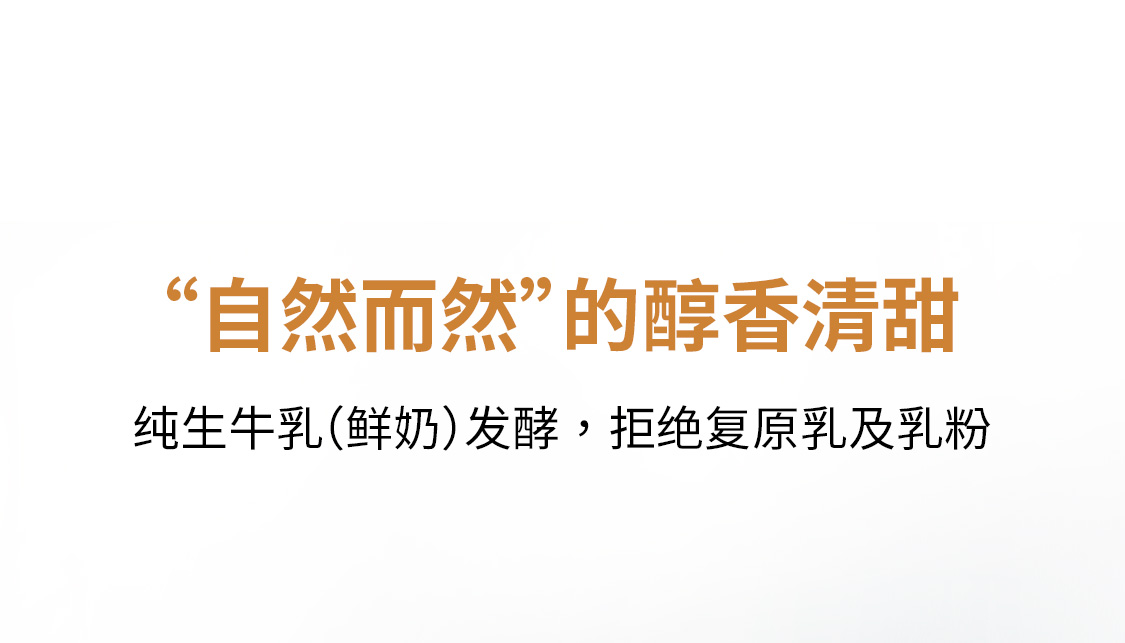 北海牧场宝石碗特浓原味酸奶12瓶