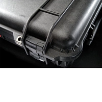 Черный стандарт