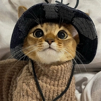 Cat hat summer dog sunshade anti-stretch fisherman hat anti-detachment ear adjustable buckle basin hat cat-slipping tool