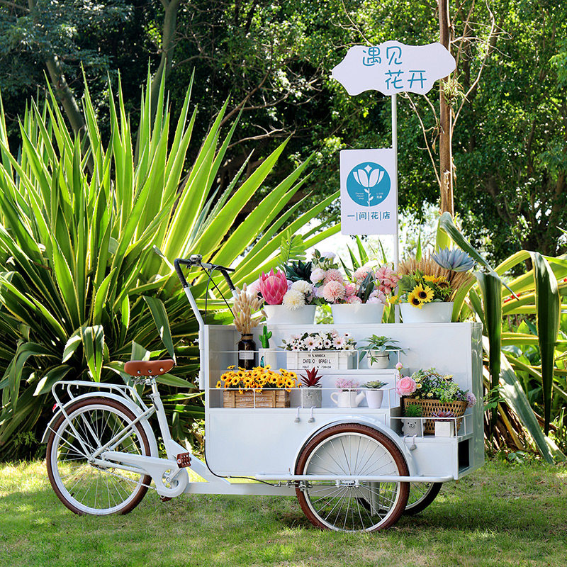 Shopping malls, floats, sales vehicles, tourism, sightseeing, bicycles, photography, special props, vehicles, exhibition decoration products, sales vehicles