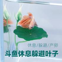 Betta resting lazy leaves spawning leaves simulated aquatic plants ornamental decoration leaves hiding sleeping bed fish tank landscaping