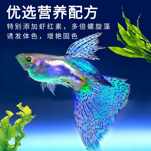 Тропическая рыба Специальная кормление мелкие частицы декоративная рыба кормление красочной сказочной павли