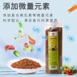 Наблюдение за наградами специально кормить золотую рыбку небольшие гранулы, золотисто -рыба