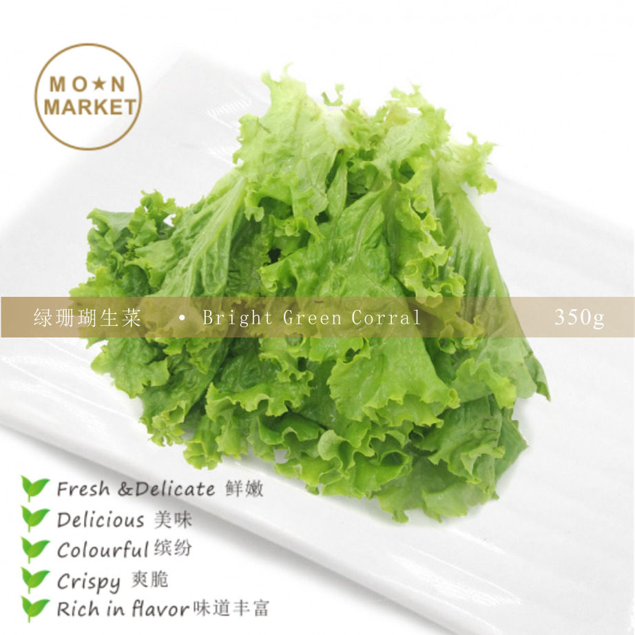 Green Coral Lettuce Bright Green Corral 350g (VGBB)