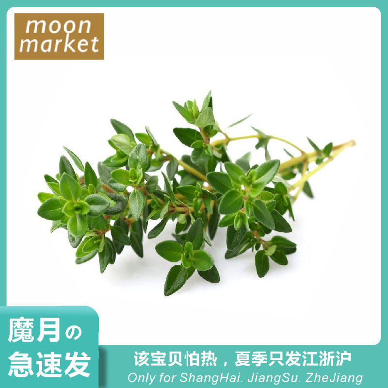 Thyme Thyme 20g musk grass steak with spices fresh spices
