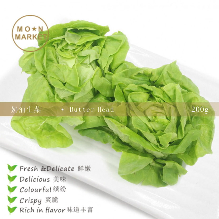 VGBB (Magic Moon) Butter Lettuce Butter Head 200g crisp and fresh