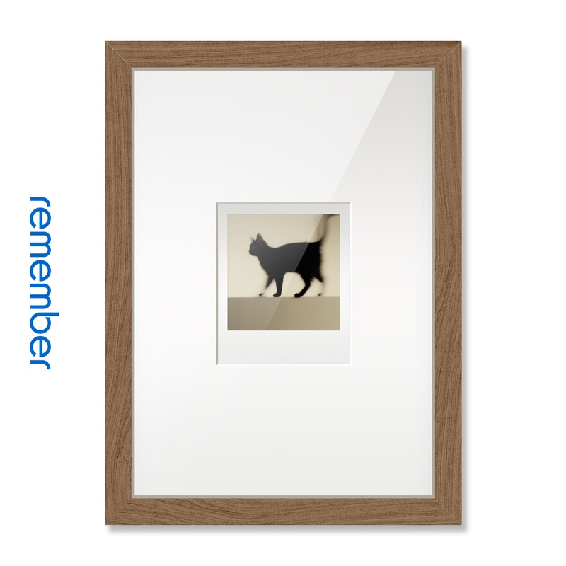 Polaroid I-Type/600/Sx70 Series Photo Paper Special Photo Frame X 楼