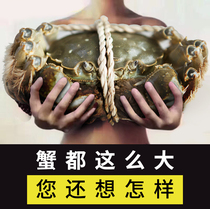 Wu love crabs fresh crab spot of Dagong 3 5~40 female 2 5~3 0 whose mother water 10