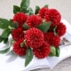 Mô phỏng hoa cẩm tú cầu hoa hồng bó hoa phòng khách sàn trang trí hoa khô hoa giả hoa lụa hoa trang trí bình hoa - Vase / Bồn hoa & Kệ