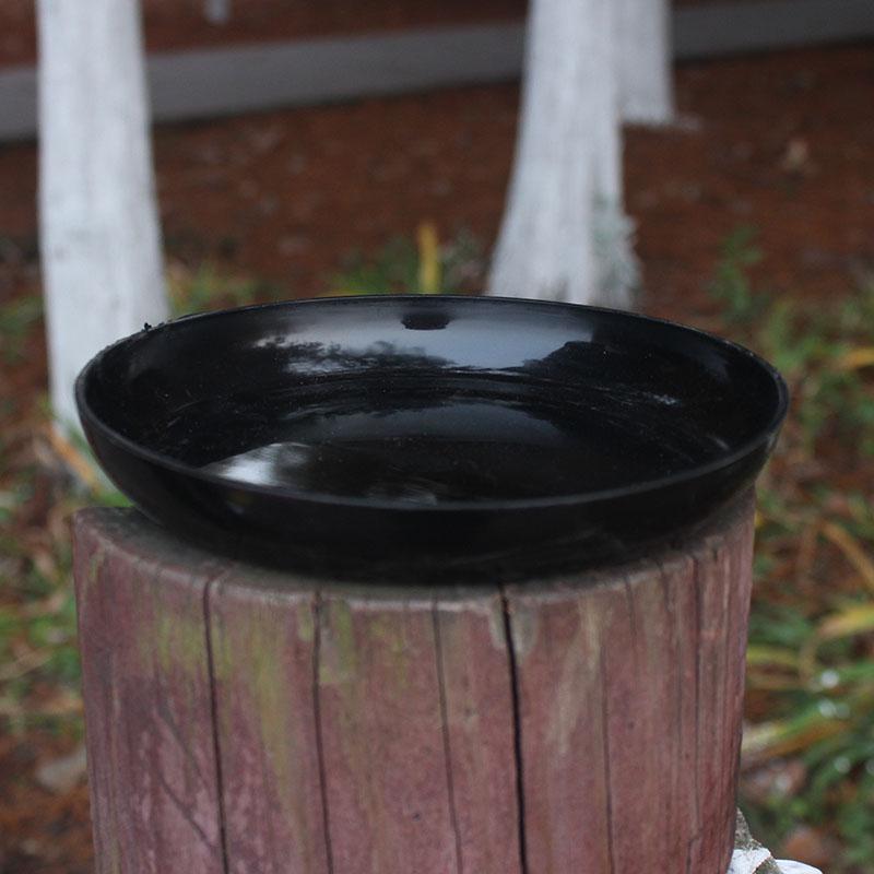 Fleshy ceramic flower pot tray candy color plastic flower POTS round bottom of large size small medium water pans tray