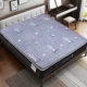 Flannel nệm 1,5m giường đôi nhung dày chống trượt giường bọ cạp mat giường 1,8m san hô nhung