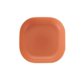 Блюдо для падчика диск Дом костный блюдо для обеденного стола с закуска