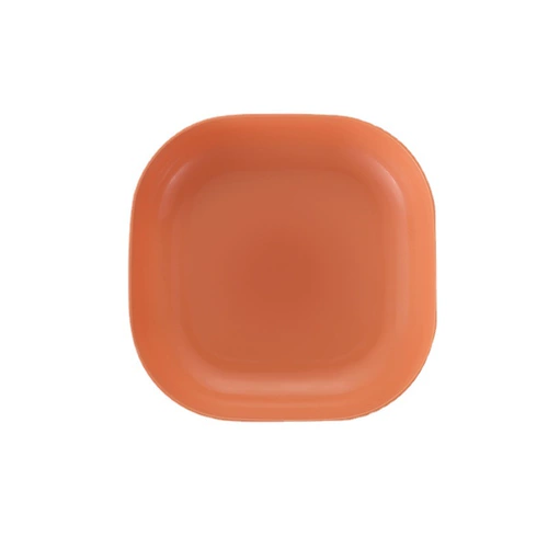 Блюдо для падчика диск Дом костный блюдо для обеденного стола с закуска