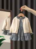 Комплект, детский кардиган, осенняя юбка для девочек, коллекция 2023, в западном стиле, детская одежда