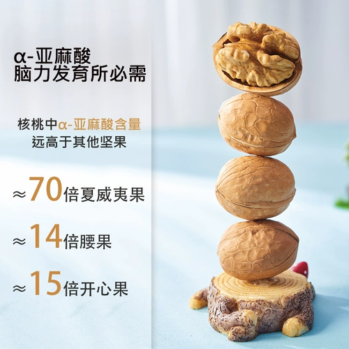 Во время беременности, закусочная бумага из кожи ореховая ореха тонкая кожа тонкая раковина