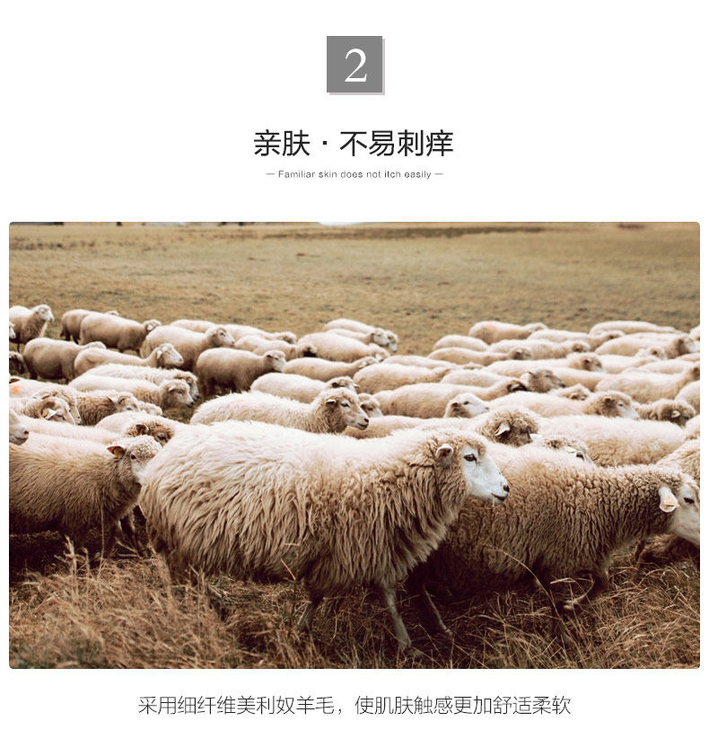 岸鹏 100%精纺羊毛 男士圆领针织衫 图5