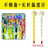 Прозрачный