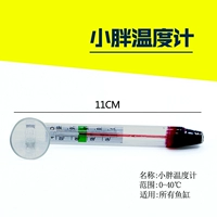 Круглолицый