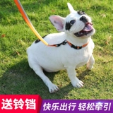 ~ Позвольте собаке воротнич