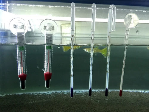 ~ Вызов аквариум -рыболочный аквариум вид на термометр Термометр Светодиодный пластырь