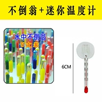 Каштановый